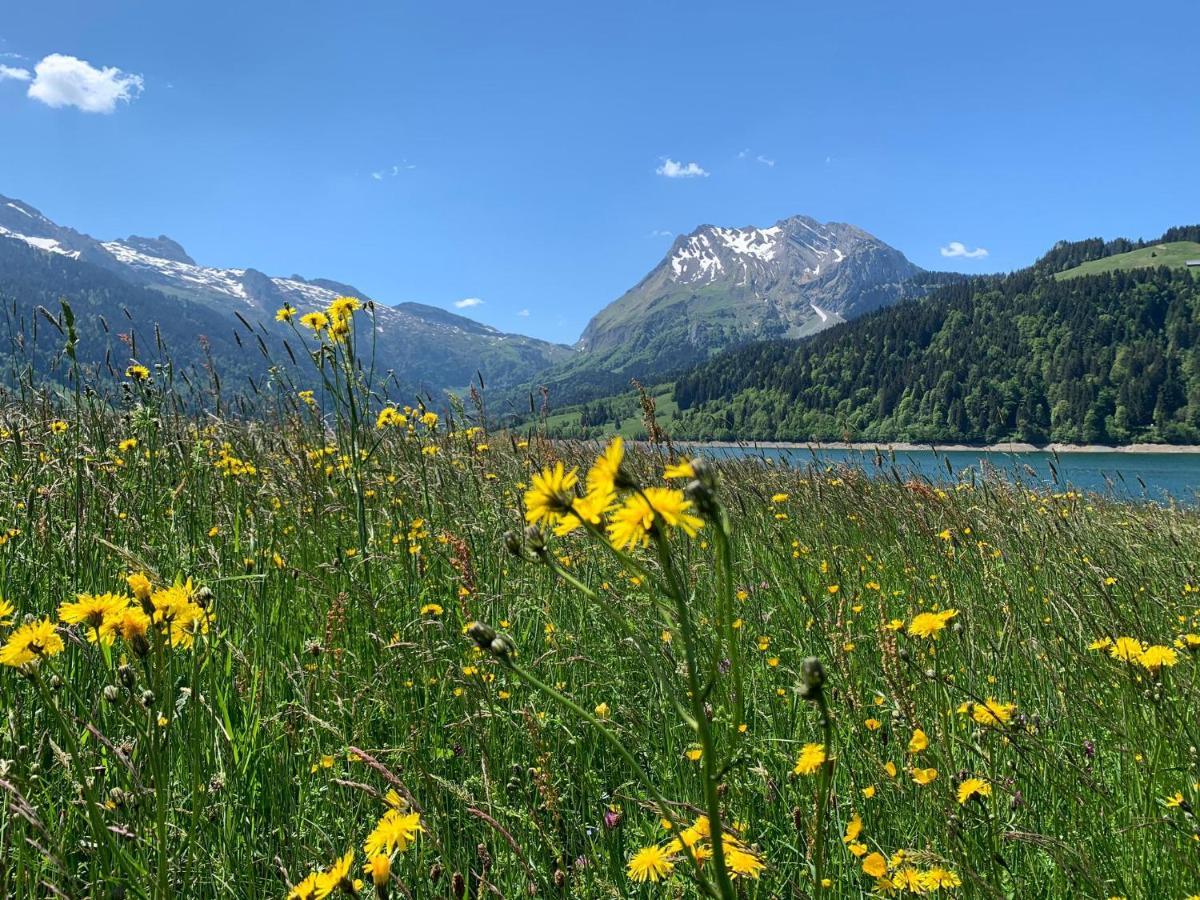Fischers Lodge Innerthal Экстерьер фото
